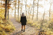 Женщина, гуляющая в осеннем лесу — стоковое фото