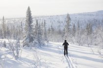 Homme skiant par des arbres enneigés — Photo de stock