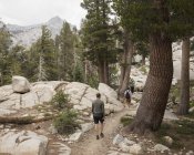 Senderistas en el Parque Nacional Sequoia en California - foto de stock