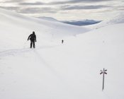 Чоловіки катаються на лижах, зосереджуються на вибірці. — Stock Photo