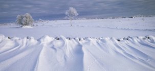 Schnee im Feld in falbygden, schweden — Stockfoto