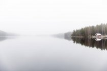 Niebla sobre el lago Ormlangen en Finspang, Suecia - foto de stock