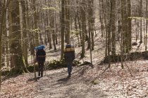 Caminhadas de homens na floresta, foco seletivo — Fotografia de Stock