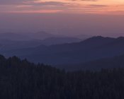 Parque Nacional Sequoia al atardecer en California - foto de stock