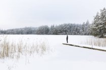 Mature woman standing over frozen lake in Ostergotland, Sweden — Stock Photo