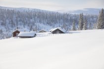 Baite di legno coperte di neve — Foto stock