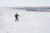 L'uomo sciare sugli alberi innevati — Foto stock