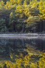 Vista panorâmica da floresta outonal por lago — Fotografia de Stock