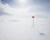 Marcatori sulla neve del sentiero Kungsleden in Lapponia, Svezia — Foto stock