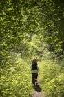 Дівчина біжить зеленими деревами, вид ззаду — стокове фото