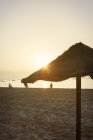Парасолька на пляжі на заході сонця в Кабо - Верде. — стокове фото