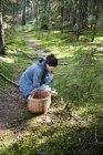 Donna che raccoglie funghi nella foresta — Foto stock