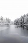 Gelo no lago por árvores cobertas de neve em Lotorp, Suécia — Fotografia de Stock