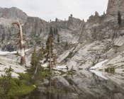 Poire lacustre dans le parc national de Sequoia en Californie — Photo de stock