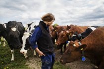 Agricultor con vacas en el campo, enfoque selectivo - foto de stock