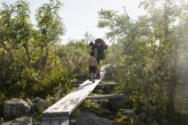 Мать и сын прогуливаются по деревянному мосту в национальном парке Фулуфаллет, Швеция — стоковое фото