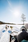 Girls on dog sled under clear sky — Stock Photo