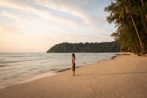 Женщина на тропическом пляже на закате — стоковое фото