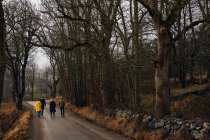 Amigos caminhando na estrada através da floresta — Fotografia de Stock