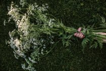 Girl's hand holding bouquet of Queen Anne's Lace flowers — Stock Photo