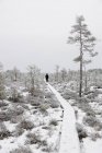 Frau läuft auf Wanderweg im verschneiten Wald — Stockfoto