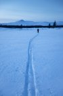 Esquí de fondo de mujer al atardecer en la Reserva Natural Rogen, Suecia - foto de stock