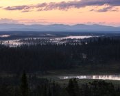 Réserve naturelle de Drevfjallen au coucher du soleil en Suède — Photo de stock