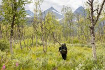 Junge Frau wandert in Wald im Sarek Nationalpark, Schweden — Stockfoto