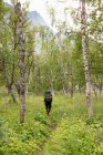 Jovem mulher caminhando na floresta no Parque Nacional de Sarek, Suécia — Fotografia de Stock