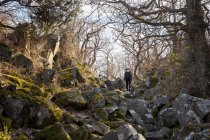 Junge Frau wandert auf Felsen im Wald — Stockfoto