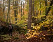 Молодая женщина, гуляющая в осеннем лесу — стоковое фото