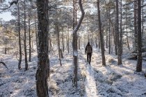 Молодая женщина путешествует по заснеженному лесу — стоковое фото