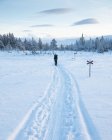 Junge Frau wandert im Schnee — Stockfoto