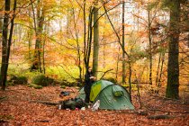 Jeune femme campant dans la forêt d'automne — Photo de stock