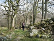Donna escursioni nella foresta — Foto stock