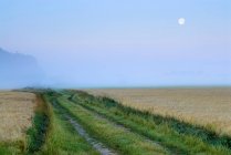 Сельская дорога на закате — стоковое фото