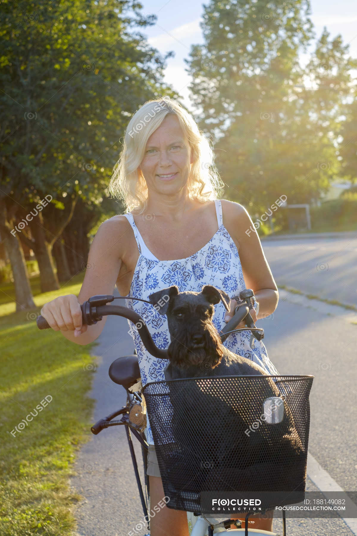 ladies bike with dog basket