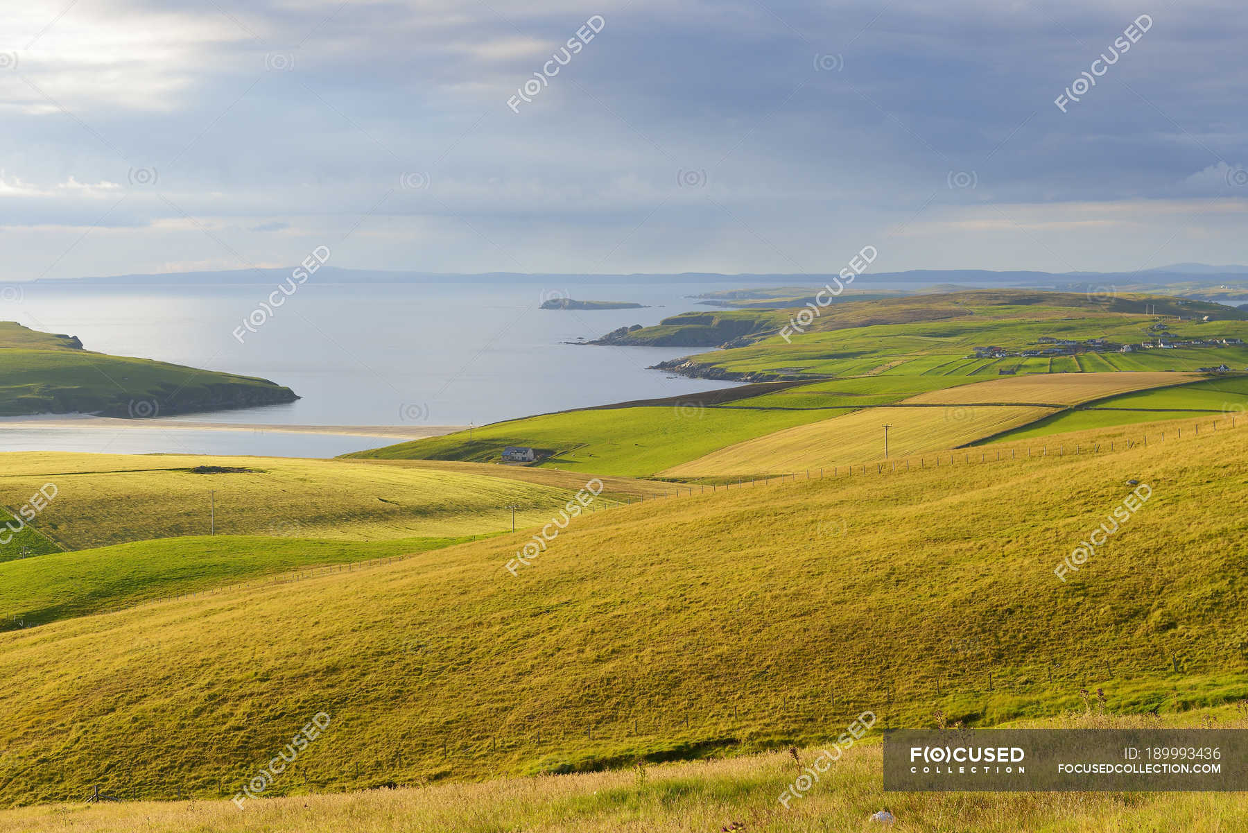 Coastal landscape of field in Shetland, Scotland — coastline, Overcast ...