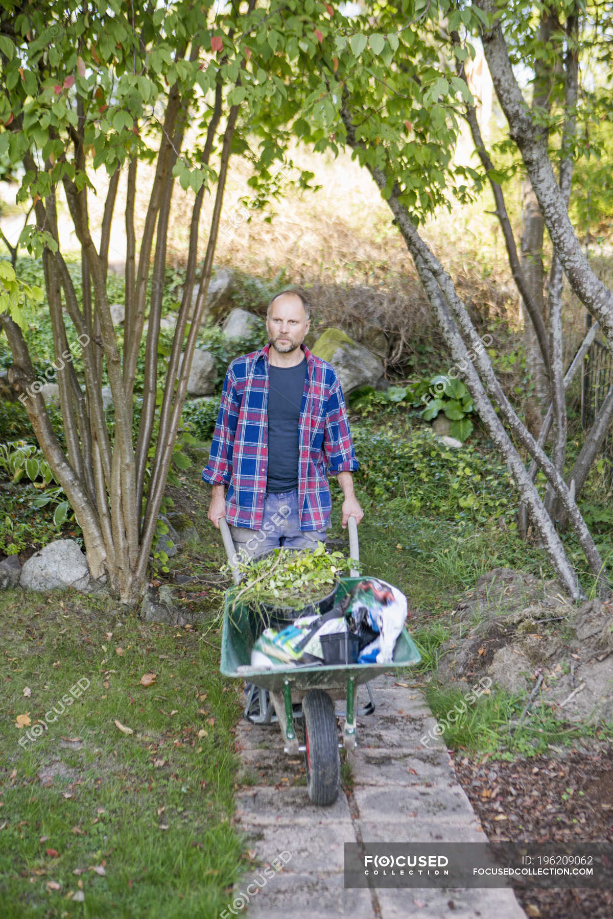 Front View Of Man Pushing Wheelbarrow In Garden — European Trees