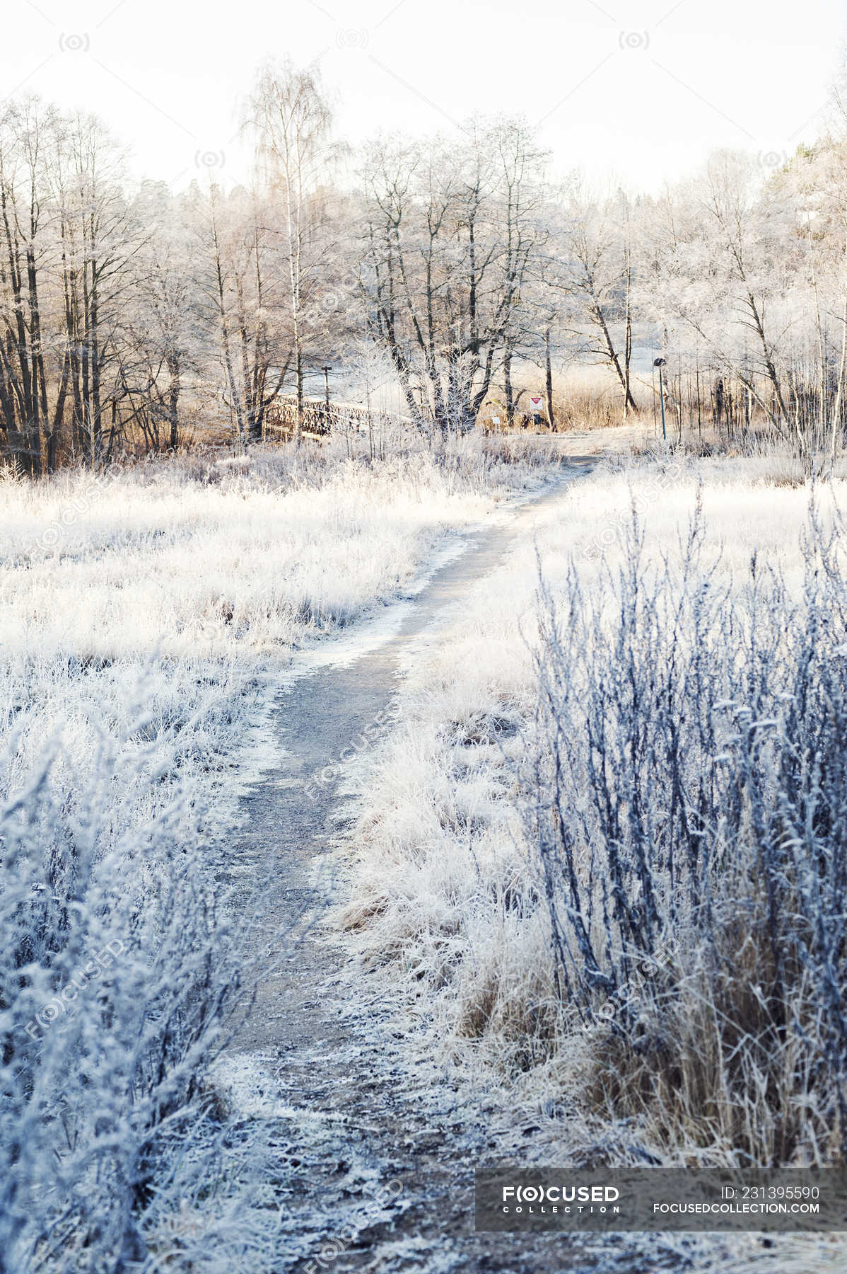 Scenic View Of Path Through Field At Winter In Sodermanland Sweden Snow Vertical Stock Photo