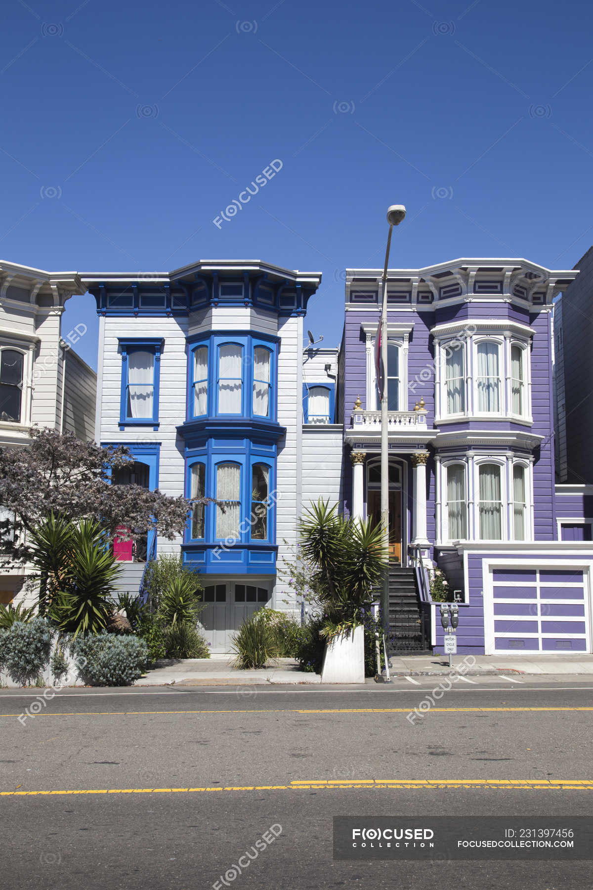 Casas coloridas em San Francisco, Califórnia — Foco seletivo, Árvores -  Stock Photo | #231397456
