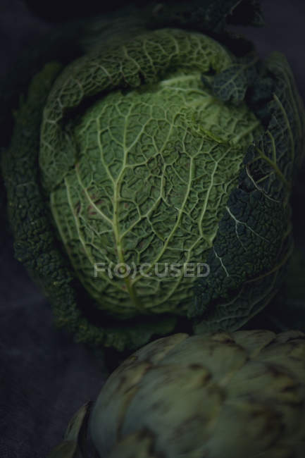 Close up shot of fresh savoy cabbage — Stock Photo