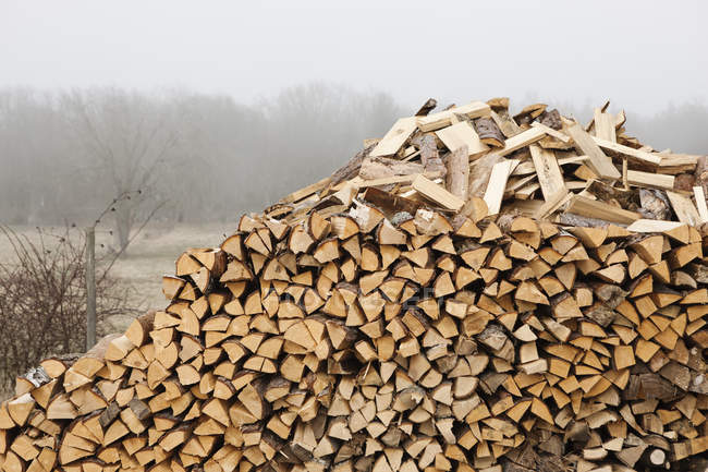 Pile de bois de chauffage et paysage brumeux sur fond — Photo de stock