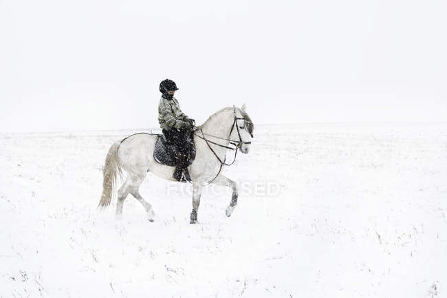 Mulher madura equitação cavalo no inverno — Fotografia de Stock