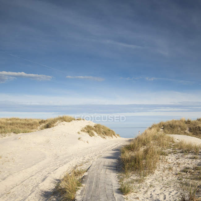 Sandy road leading towards sea under blue sky — Stock Photo