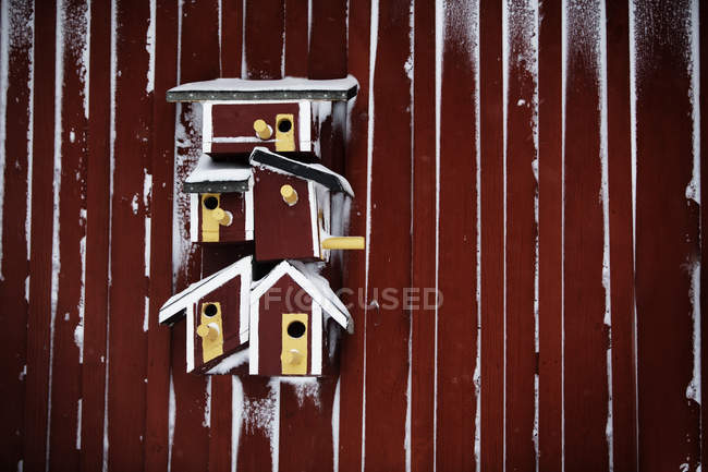Maisons d'oiseaux rouges sur le mur rouge — Photo de stock