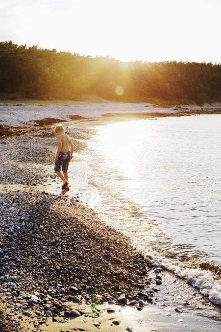 Вид сзади на мальчика, идущего по пляжу на закате — стоковое фото