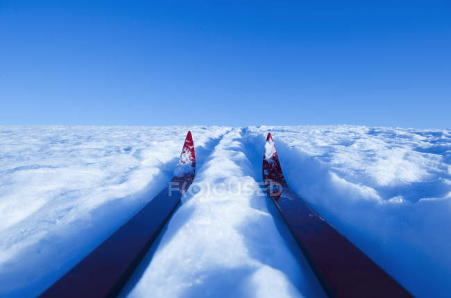Primer plano plano de esquís en la nieve iluminada por el sol - foto de stock