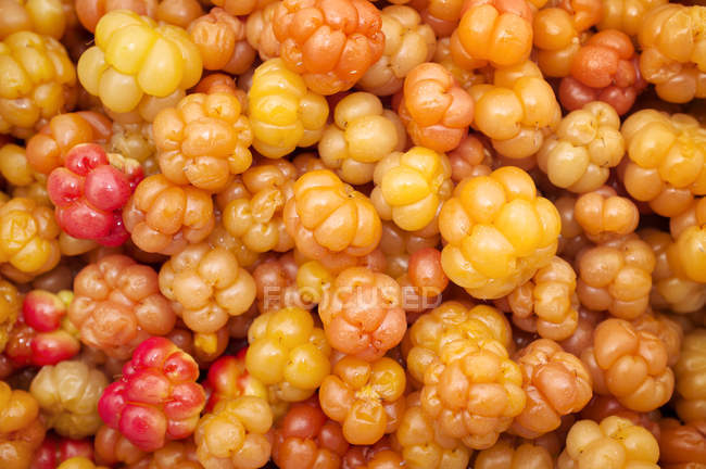 Overhead view of cloudberries in full frame — Stock Photo