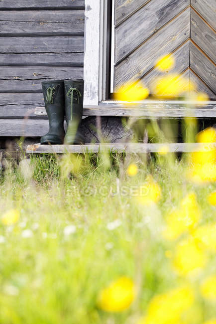 Front view of galoshes on porch of log cabin — Stock Photo